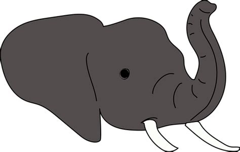 Gambar Hewan Gajah Kartun Lucu Kartun Gajah Yang Lucu Mamalia Hewan
