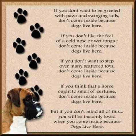 Dogs Live Here Dog Poems Dog Quotes Love Dog Quotes