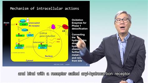 Ensc 2270 Lecture 5 Video 2 Potential Risks Of Pesticides And Trace
