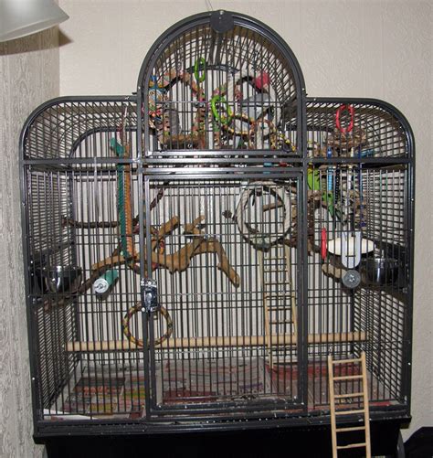 New Cage Set Ups Parakeet Cage Parakeet Cages For Sale