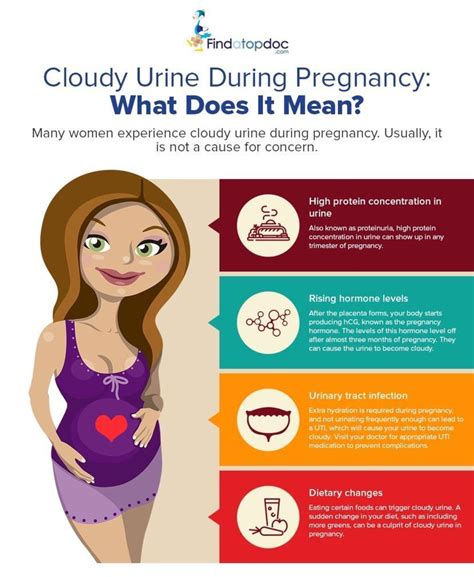 Cloudy Urine Symptoms Causes Treatment And Images