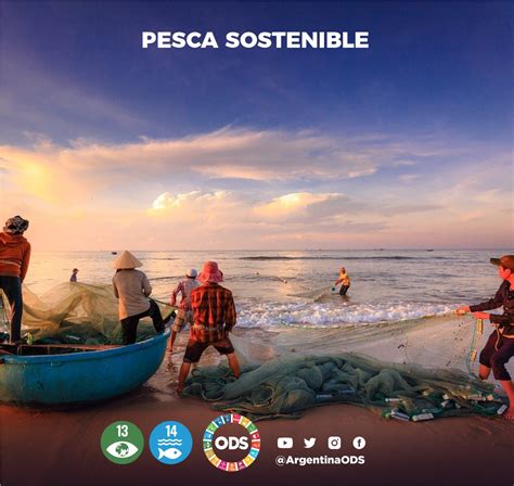 Pesca Sostenible Es Posible Organizaci N Para El Desarrollo