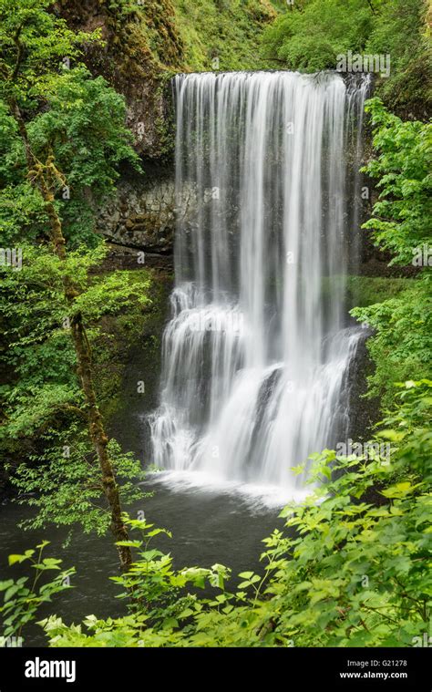 Lower South Falls Silver Falls State Park Oregon Stock Photo Alamy
