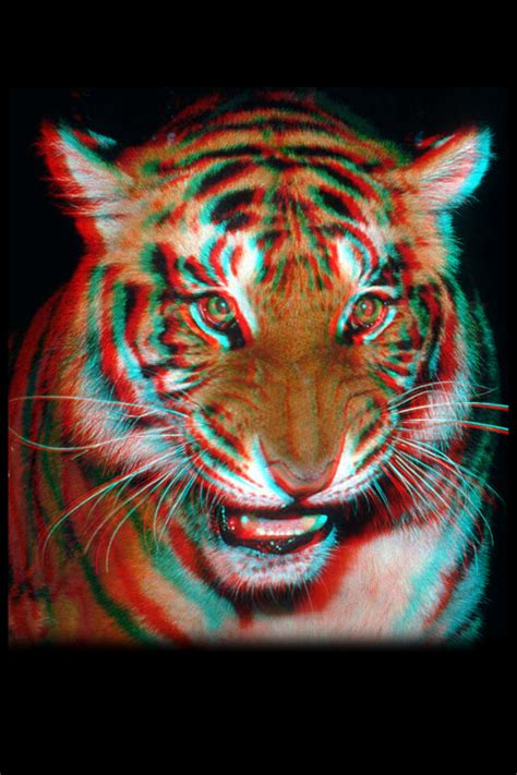 Depending on what ios version you use, live. iphone 4 - 3D Wallpaper - Tiger - 640 x 960 | Here is a ...