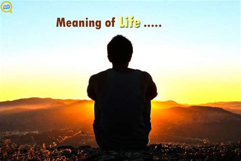The slice of life trope as used in popular culture. What Is The Meaning Of Life?