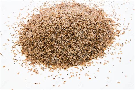 Plantago Ovata Seed Stock Image Image Of Ovatae Power 42804401