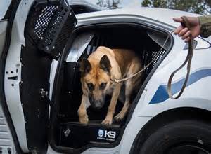 Door Opener Adds Lethality For K9 Unit Air Force Article Display