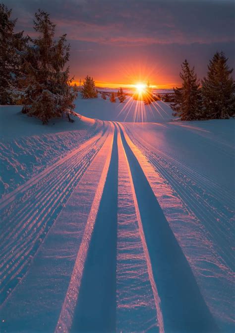 Sunset Over Fresh Snow Tracks Fotografia Natura Paesaggi Idee