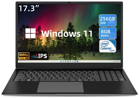 Buy Sgin 17 Laptop 8gb Ram 256gb Ssd Notebook 17 Inch Laptops With