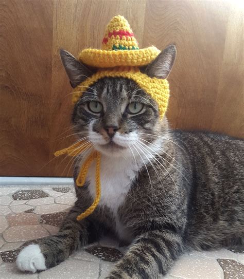Sombrero Cat Hat Knit Hat For Cat Cat Costume Halloween Etsy Crochet Cat Cat Hats