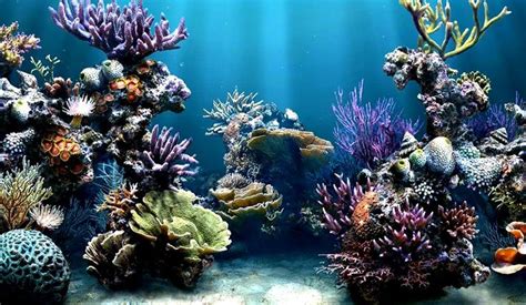 Agregar más de 76 fondo animado acuario mejor camera edu vn
