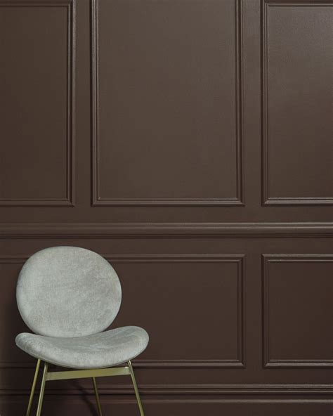 Wadidaw Coffee Brown Wall Paint For You Paintszi
