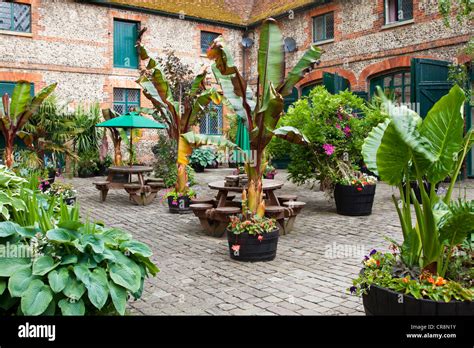 A Courtyard Garden With Containers Of Exotic Tropical Plants In Stable