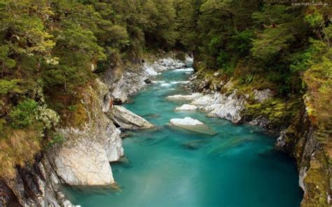 Turquoise Color River Trees Water Forest Ultra 3840x2160 Hd Wallpaper