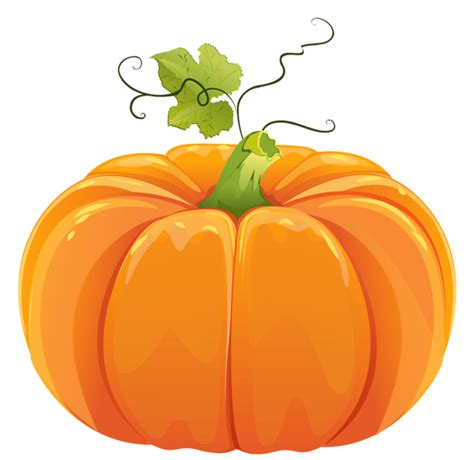 Autumn Pumpkin PNG Clipart | Pumpkin clipart, Pumpkin, Pumpkin pictures
