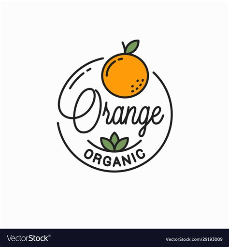 Orange Fruit Logo Round Linear Logo Orange Vector Image