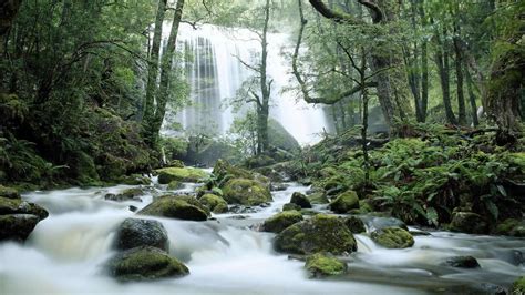 Tasmania Waterfall Bing Wallpaper Download