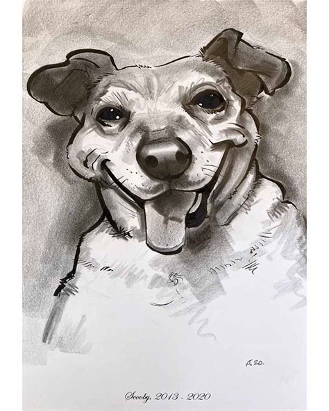 Pet Dog Caricature Portrait Caricature Artist Ireland
