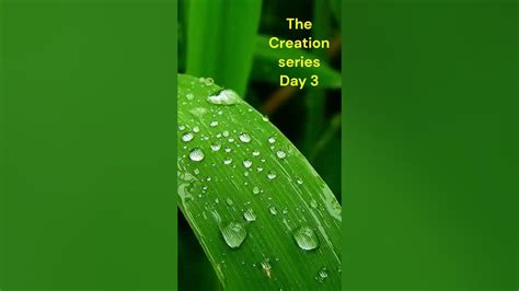 The Creation Series Day 3 Shorts Youtube