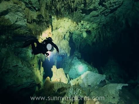 Diving The Cenotes In Yucatán Mexico Cenote Dreamgate