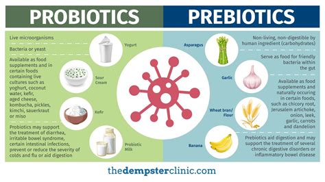 Prebiotic Probiotic