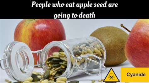 Cyanide In Apple Seed Cause Death By Ssree Medium