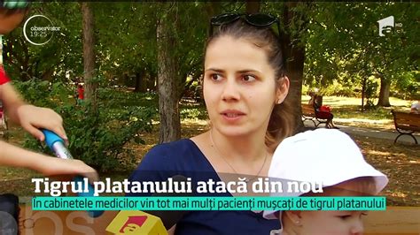 Jul 01, 2021 · oficialii greci care au prezentat publicului o pictură de picasso recuperată după nouă ani au scăpat pe jos tabloul, la conferința de presă. Un nou tip de insectă a invadat Capitala. Tigrul ...