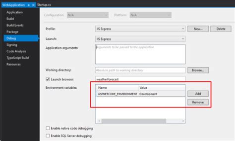 How To Configure Net Core ASP NET Environments With Examples