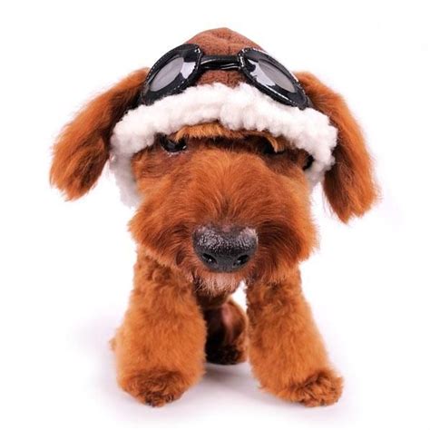 Aviator Hat With Goggles For Dogs Funny Cat Compilation Funny Cat