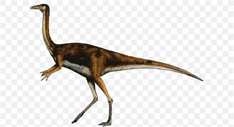 Velociraptor Gallimimus Carnivores Dinosaur Hunter Tyrannosaurus