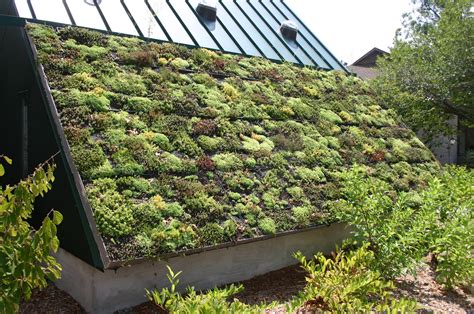 France Mandates Green Roofs For All New Buildings News Archinect
