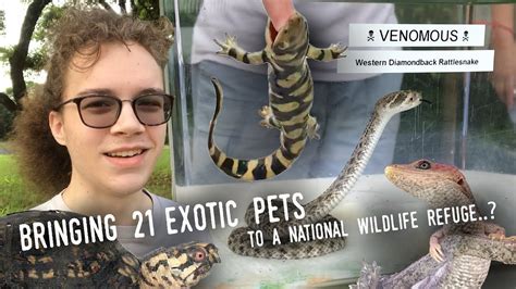 Hosting A Reptile Show 21 Species At A National Wildlife Refuge