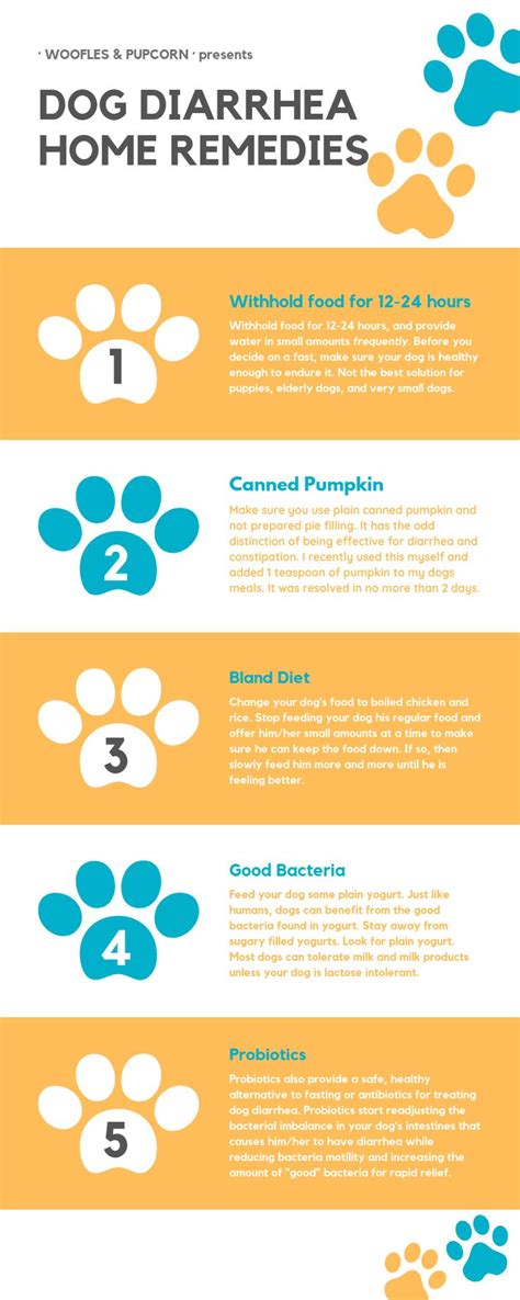 However, if the diarrhea persists or you notice other symptoms, it is best to see your veterinarian for a checkup. 5 Dog Diarrhea Home Remedies | Dog diarrhea remedy ...