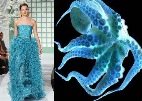 Klv Creature Couture Sea Inspired Fashion Fashion Inspiration