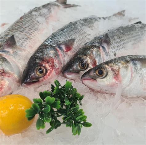 Mullet Whole Gilled Gutted And Scaled Wellington Seamarket