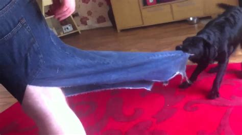 Ruby Ripped My Jeans Youtube