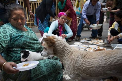Gyani, la donna che ha adottato i cani di KathmanduCorriere Sociale ...