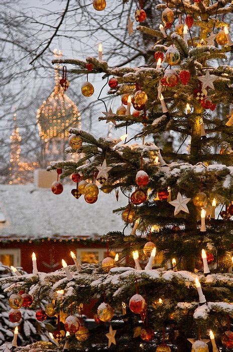 Beautiful Christmas Trees 🎄🎁🎅 Ktchenor Photo 43634867 Fanpop