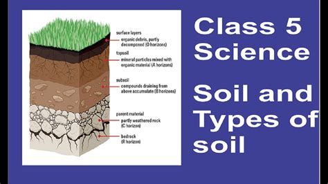 Soil And Types Of Soil Class 5 Science Chapter 9 Part 2 Youtube