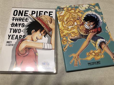 Animation One Piece 3d2y Ace No Shi Wo Koete Luffy