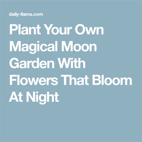 Plant Your Own Magical Moon Garden With Flowers That Bloom At Night