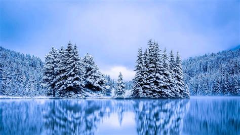 Banff Evergreens Bing Wallpaper Download