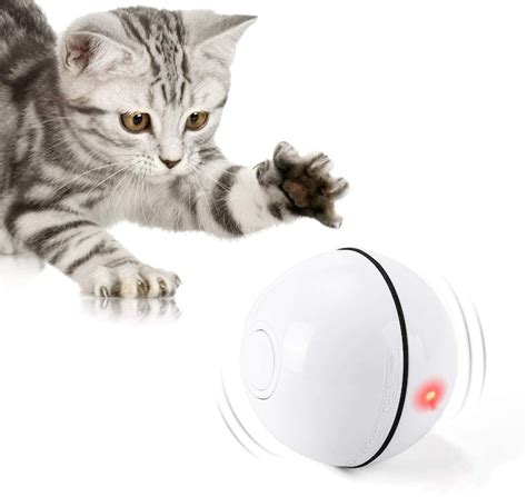The 9 Best Interactive Cat Toys For When You Are Away