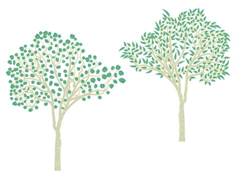 Tree Branch Illustration Vector Png Images Stylized Eucalyptus Tree