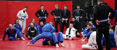 A Guide To Buying The Right Bjj Gi Pax Librorum