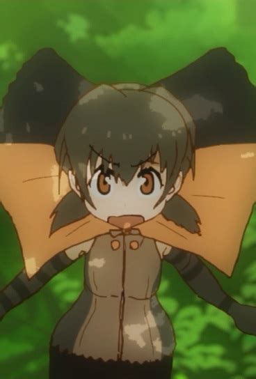 Frilled Lizardanime Japari Library The Kemono Friends Wiki