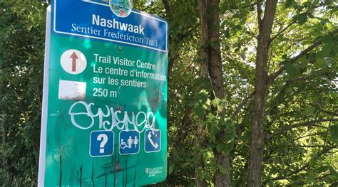 Fredericton Police Seek Help Finding Graffiti Vandal Cbc News