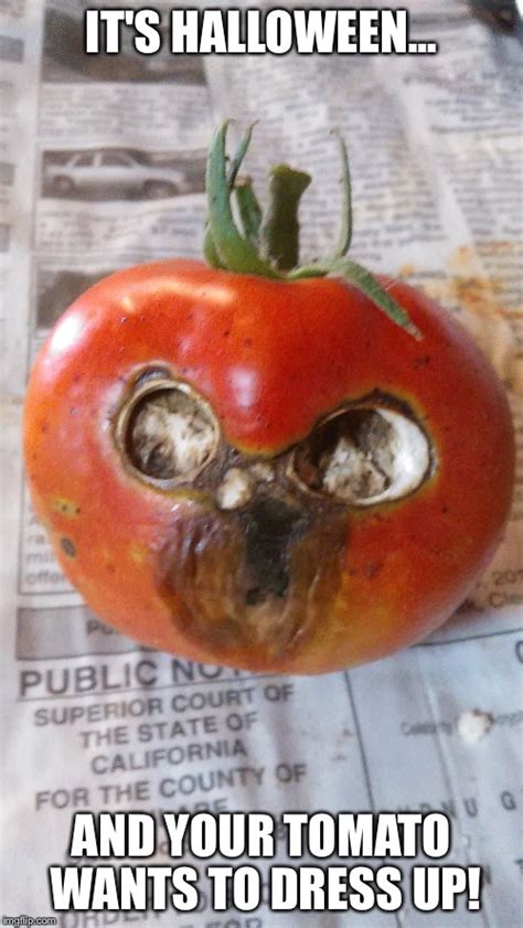 Image Tagged In Halloween Tomato Imgflip