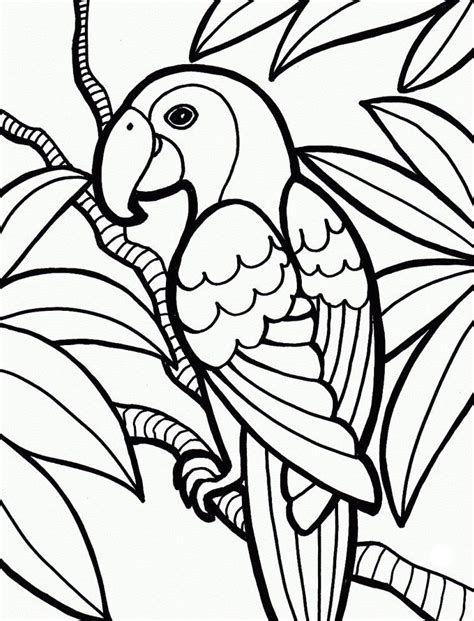 It is liked not by kids only but buy parents too. Jungle Coloring Pages - Best Coloring Pages For Kids ...