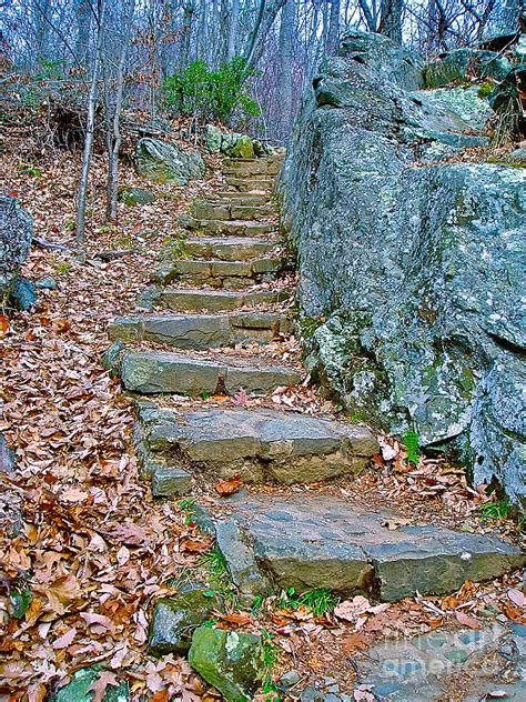 Stone Staircase Photograph By Eugene Desaulniers Fine Art America